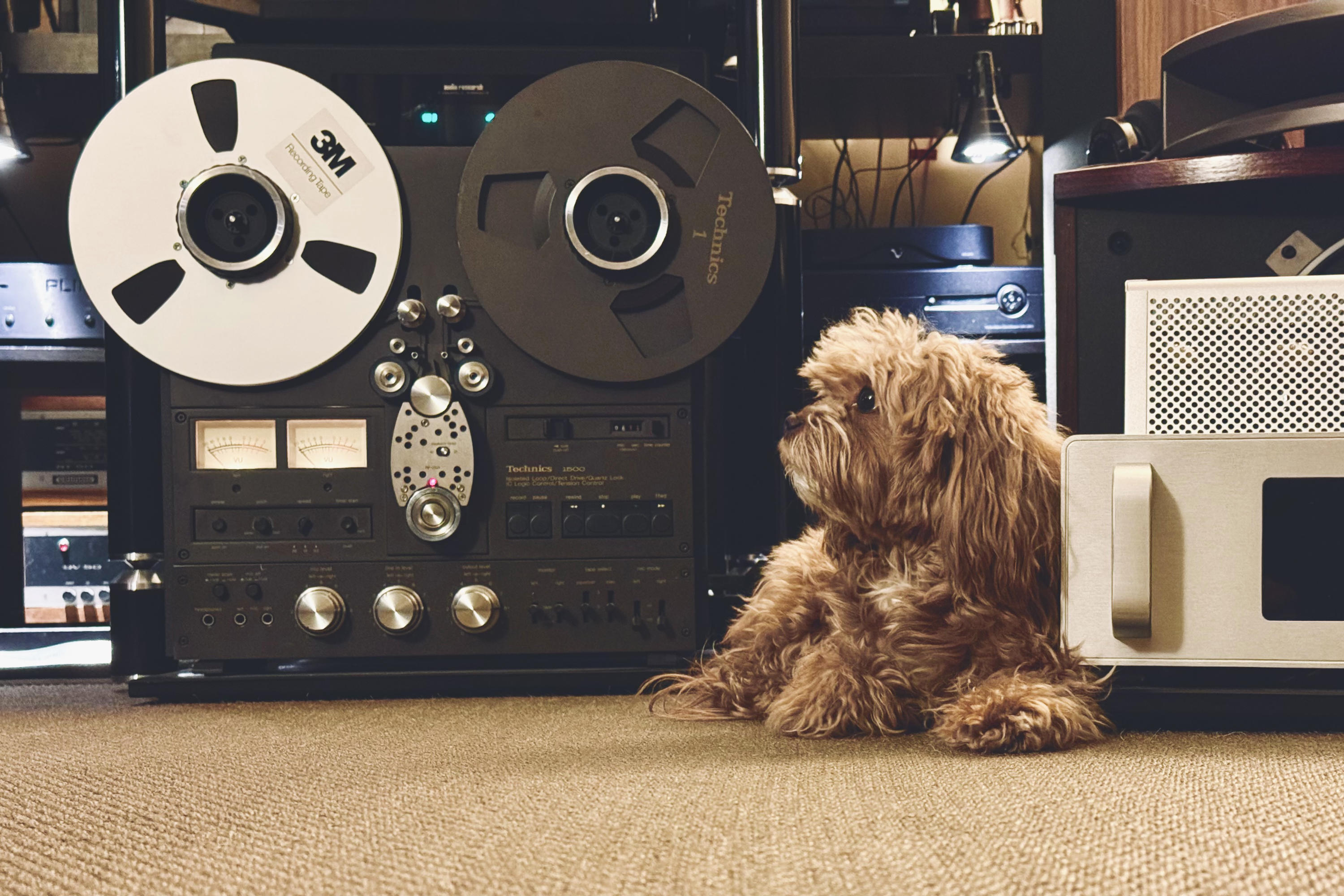 Лофт SoundProLab&nbsp;× HiFi&nbsp;бюро