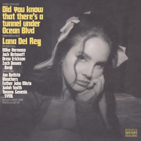 LP Del Rey Lana - Did You Know That There's A Tunnel Under Ocean Blvd