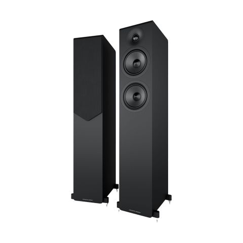 Acoustic Energy AE309² Matte Black