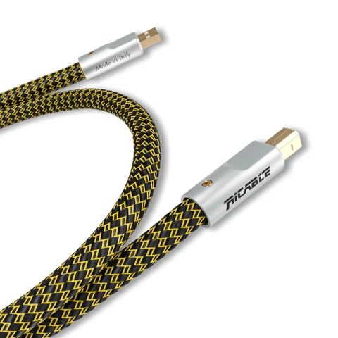 Ricable Dedalus USB 0.5M