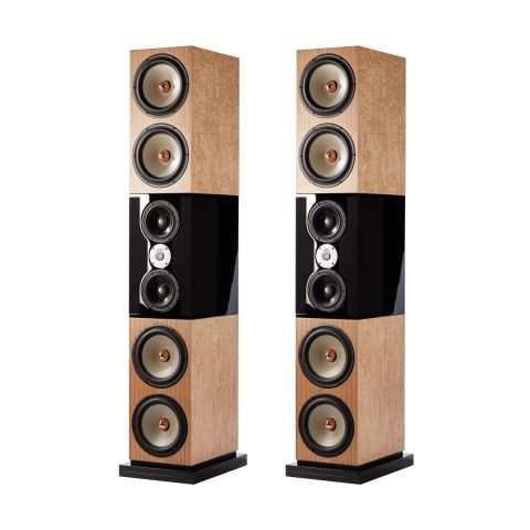 Penaudio Karelia Karelian Birch/Gloss Black