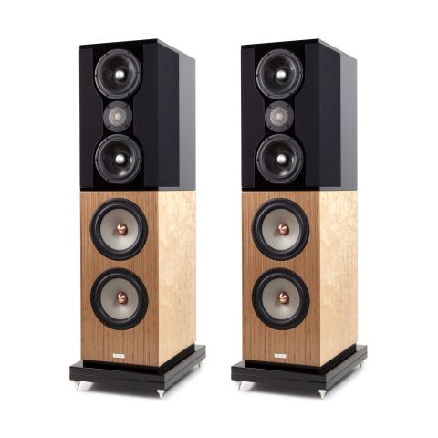 Penaudio Karelietta Karelian Birch/Gloss Black