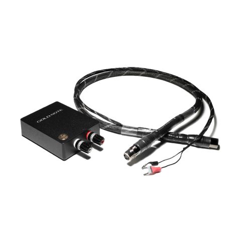 Gold Note Firenze Il Magnifico XLR 1M