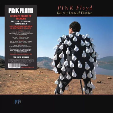 LP Pink Floyd - Delicate Sound Of Thunder