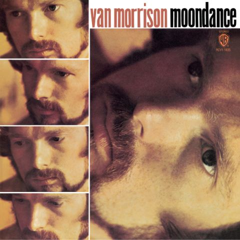 LP Morrison Van - Moondance