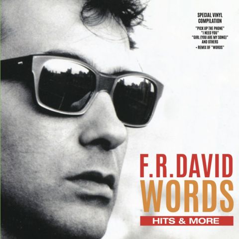 LP F. R. David - Words Hits & More