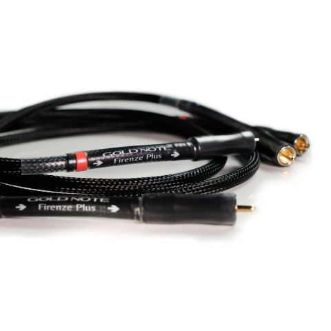 Gold Note Firenze Plus RCA 1M