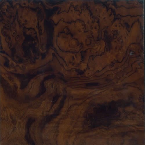 Brodmann VC2 Walnut
