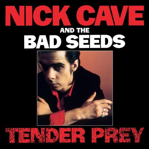 LP Cave Nick & The Bad Seeds - Tender Prey