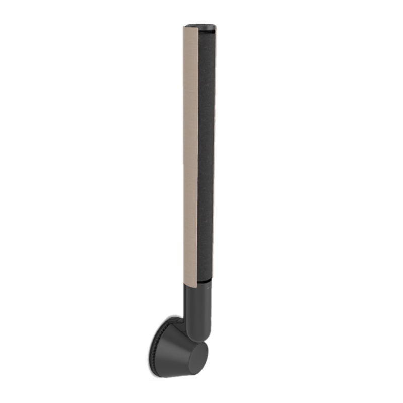 Bang & Olufsen Beolab 28 Black Anthracite/Golden, Wall Mount