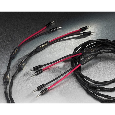 Esprit Audio Kappa Speaker Cable 2M