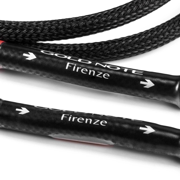 Gold Note Firenze XLR 1M