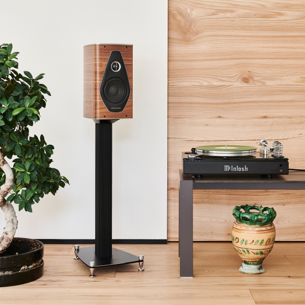 Sonus faber Olympica Nova I Walnut