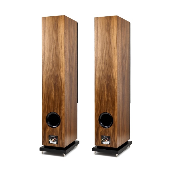 Penaudio Ambient Three Walnut