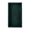 Astell&Kern SE300 Leather Case Green